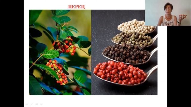 Пряности смотреть онлайн