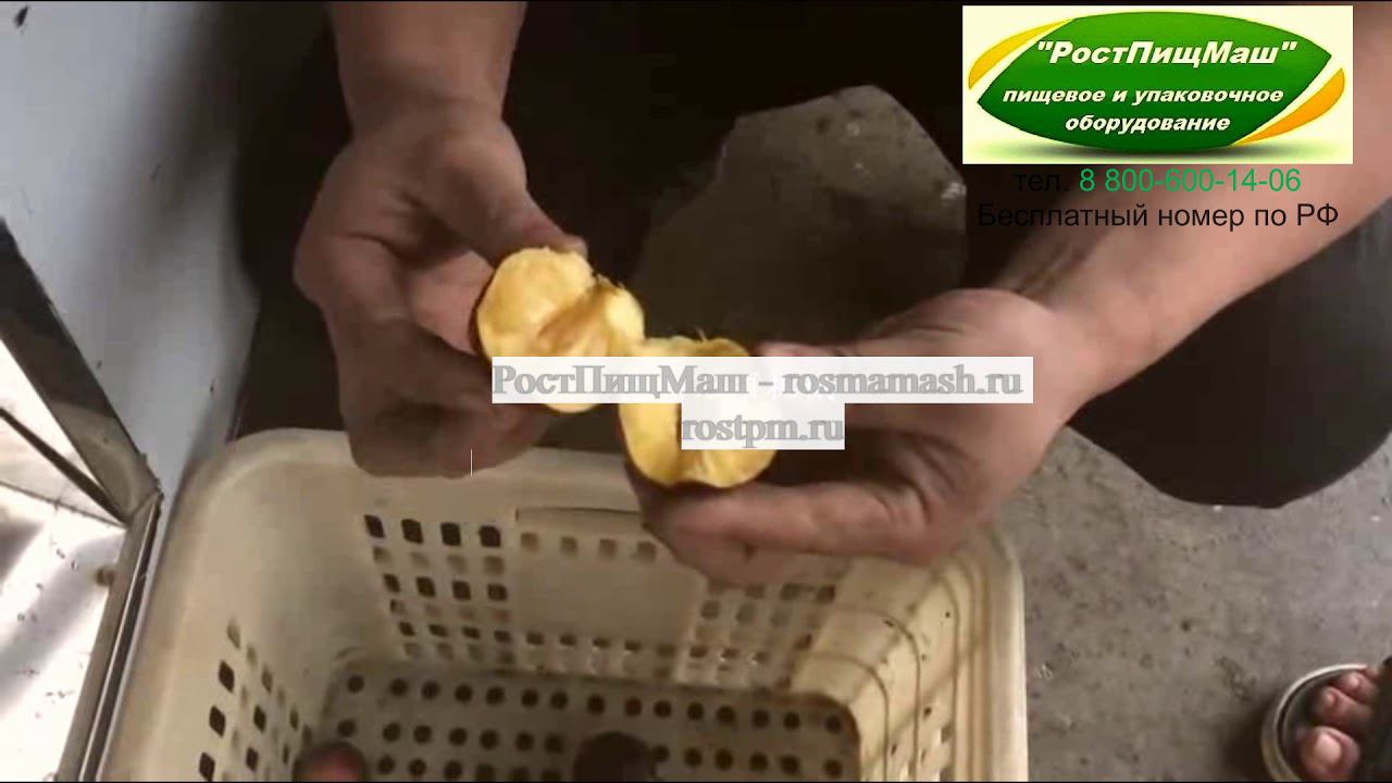 Машина удаления косточек из абрикоса, персика, сливы от РостПищМаш смотреть онлайн