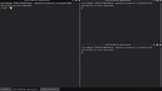 Pub-Sub implementation using NodeJS WS module смотреть онлайн