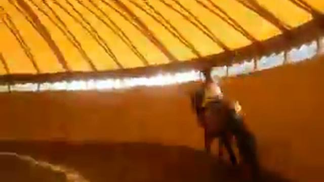 галоп смотреть онлайн