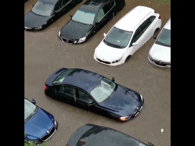 Потоп во ВНИИСОК смотреть онлайн
