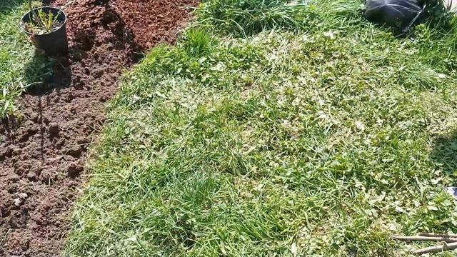 Продолжаю создавать уголок в стиле японского сада. смотреть онлайн