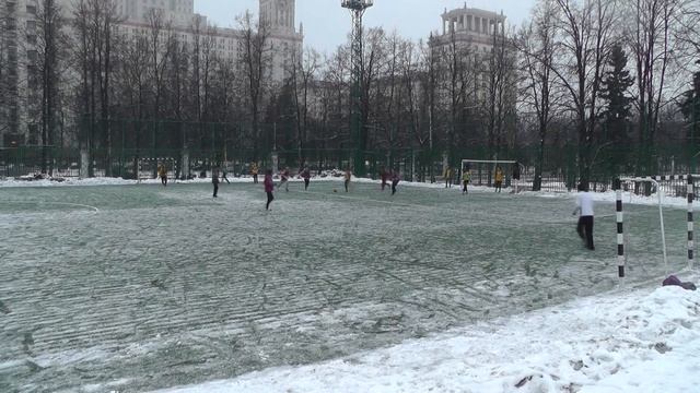 Силовая минутка матча "Пчёлки" - "Шизофилум" смотреть онлайн
