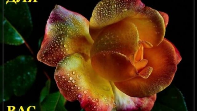 Мирей Матье - Влюблённая Женщина смотреть онлайн