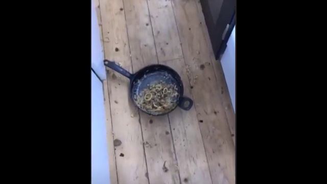 Алексей Купин и Майя Донцова в сторис 04 03 2019 смотреть онлайн