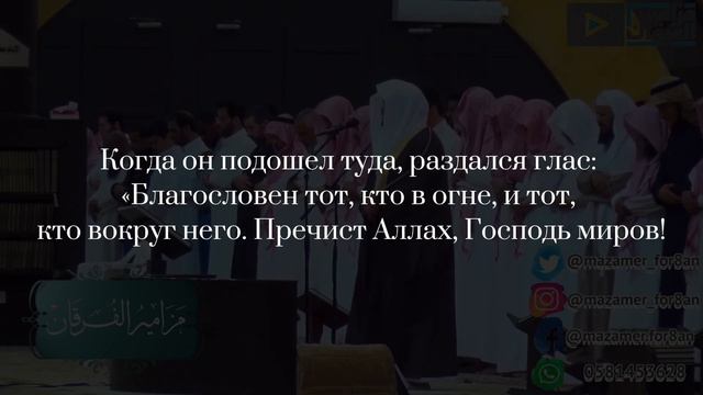 Чтение Корана. чтец Ясир Даусари. Сура Ан-Намль | Муравьи. аят 1-14 смотреть онлайн