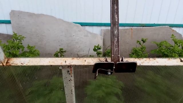 Форточка в теплице с механизмом открытия своими руками.