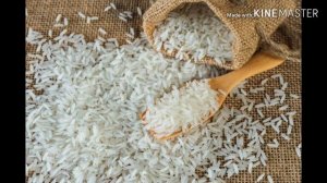 Какой_КАШЕЙ_лучше_кормить_СОБАКУ?