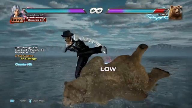 Lee‘s Acid Rain - 10f Launcher against Bears & on Floor Break Stage смотреть онлайн