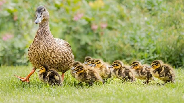 Илья Андреев и Алина Миллер - Правдивая ложь смотреть онлайн
