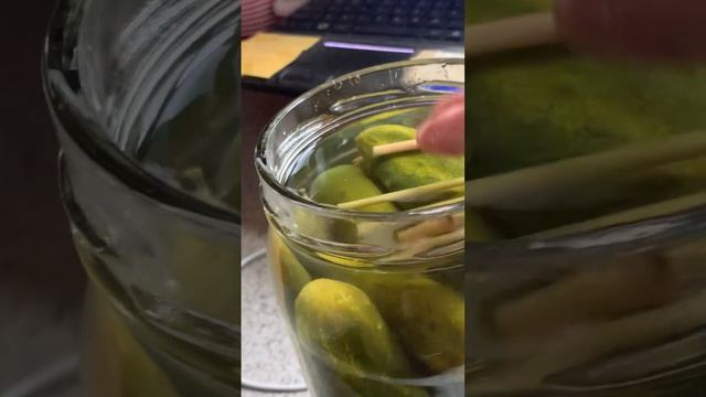 Попугай Жако Полина Ивановна с Лёгким Рецептом Огурцов ❤️? смотреть онлайн