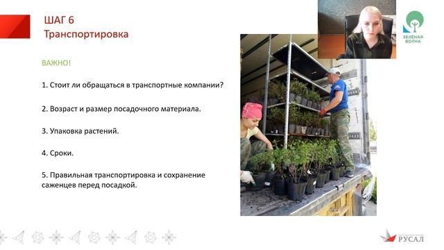 Озеленение: какие саженцы лучше выбрать? смотреть онлайн