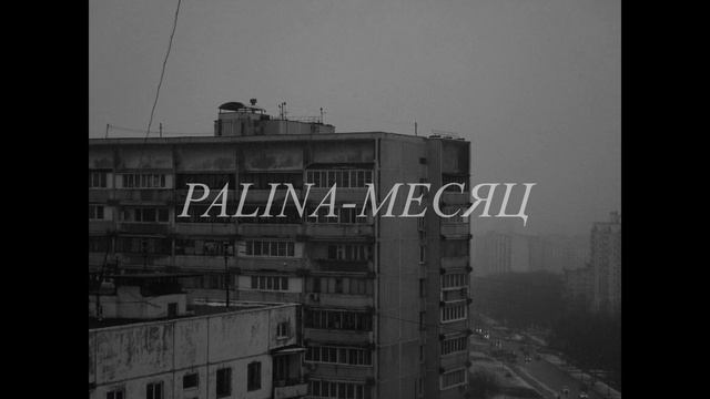 PALINA - МЕСЯЦ ( Slowed+reverb)