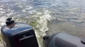 Golfstream 2.6 (парсун) на лодке посейдон смарт 330, результаты летнего троллинга!