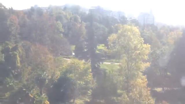 Подъем на фуникулере, сочинский дендрарий смотреть онлайн