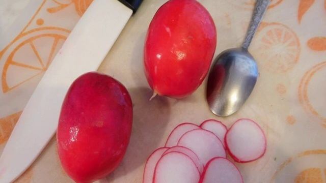 Сборник рецептов