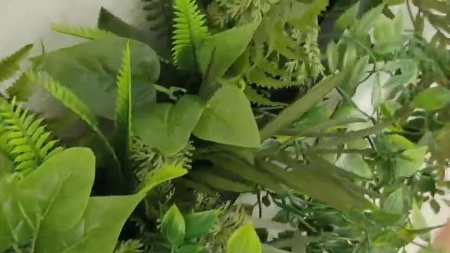 Ампельные растения смотреть онлайн