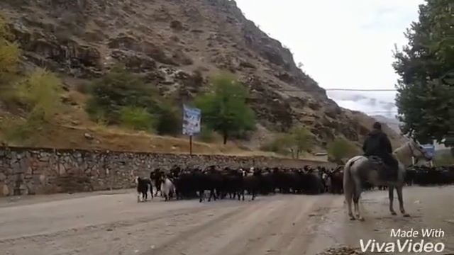 Вахдат Ромит☝??? смотреть онлайн