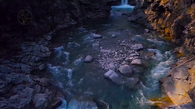 Анатолий Соколов и группа "Кодар" смотреть онлайн