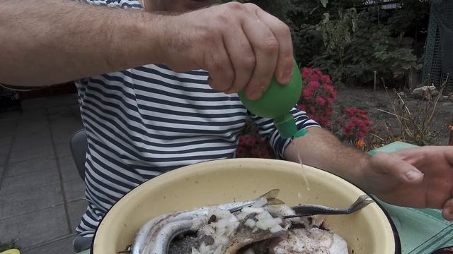 Шашлык из морской рыбы (пелингас или пиленгас и сарган) смотреть онлайн