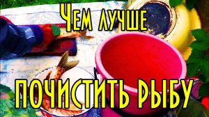 Так чем же лучше чистить рыбу? Наше НЕТ дорогим рыбочисткам. СТАРАЯ ШКОЛА, Дядя Толя