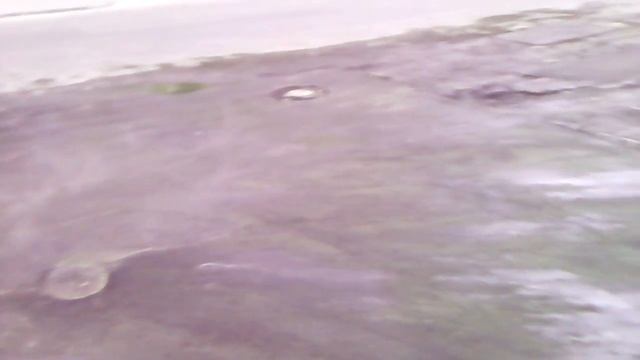 Мытый асфальт во Львове, 12.04.2017 смотреть онлайн