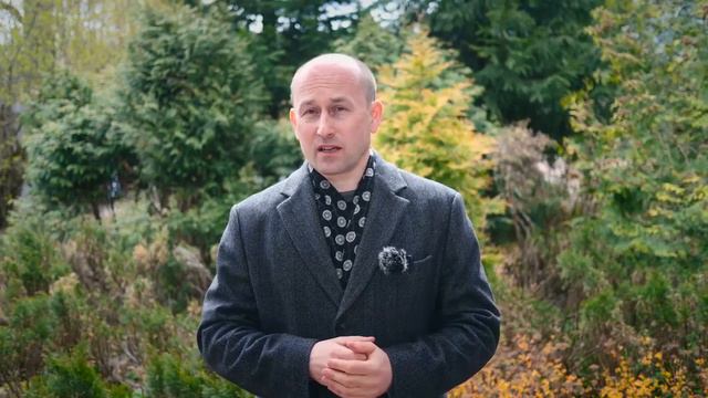 Н Стариков Зарплаты в Центральном банке смотреть онлайн