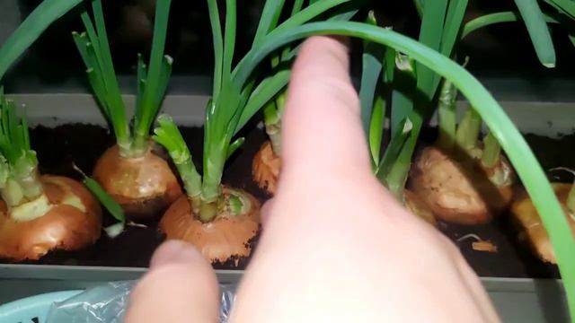 немного вкусного )