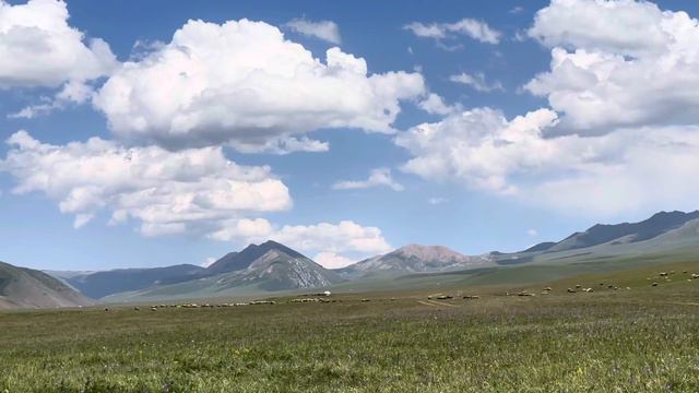 Природа Казахстана. Долина реки Шолкоде. 2400 над уровнем моря. Kazakhstan. Mountains. Summer 2023 смотреть онлайн