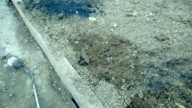 Прожигаю землю горелкой смотреть онлайн