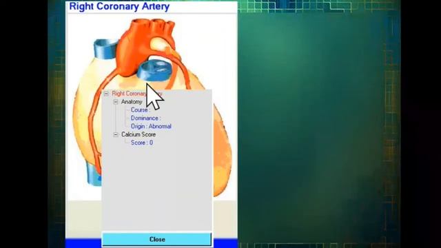 Webinar 9 STRUCTURED REPORTING BEYOND TEMPLATES Mansoor Fatehi MD, CIIP смотреть онлайн