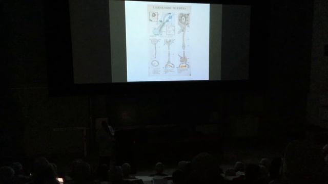 Гистология РНИМУ. Препараты на слайдах, часть 1