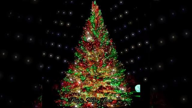 [ We Wish You A Merry Christmas 🎄] Music Box GIF.IMAGE =My Simple Pleasures = смотреть онлайн