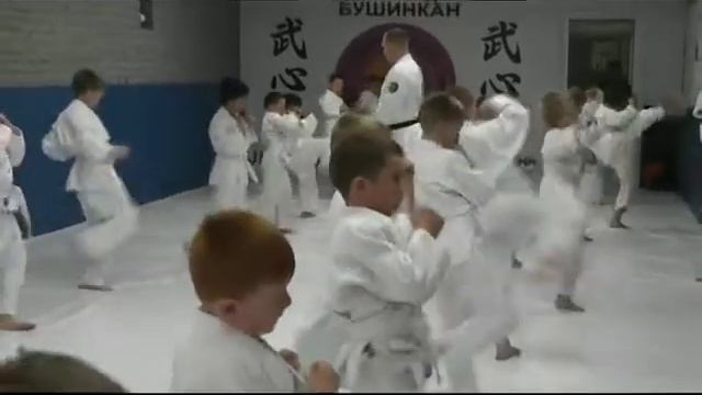 аттестация по бушинкан джиу джитсу младшая группа jiuclub ru май 2017 смотреть онлайн