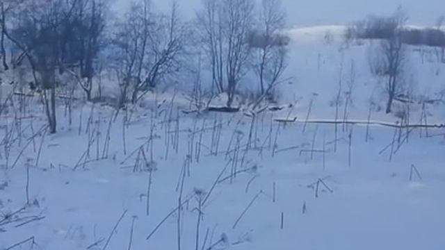 Колдовство с Аленой Полынь