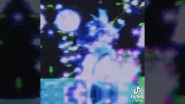 Tik Tok Compilation Shinobu Kochô?