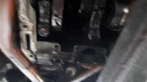 Каменс  стружка в поддоне