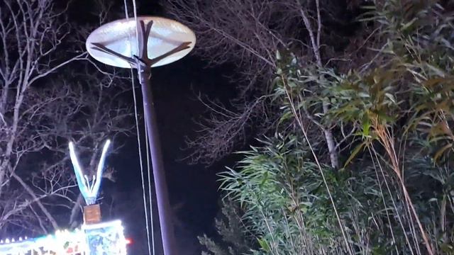 234. ЛЮБИШЬ РОЗУ ЛЮБИ И ШИПЫ смотреть онлайн