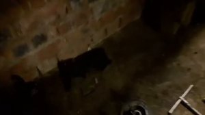 Снятие тнвд с мотора 2C. +замена грм