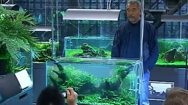 Такаси Амано, запуск, оформление аквариума / Takashi Amano, the launch and execution of the aquariu смотреть онлайн