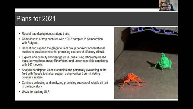 Spotted Lanternfly Summit 2021 - Research (Day 1) смотреть онлайн