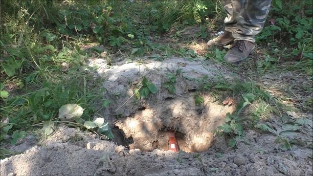 АКА Сигнум MFT 7272M катушка 6х10 7кГц - тест в земле на монеты / Какой металлоискатель купить