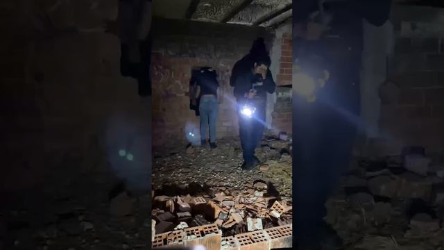 El anillo maldito siguio a mi compañero смотреть онлайн