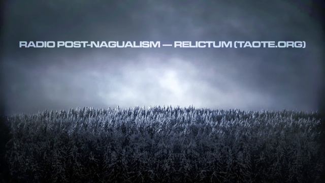 #040 ¦ Кастанеда, нагвализм в трансляциях от Relictum (Taote.org) смотреть онлайн