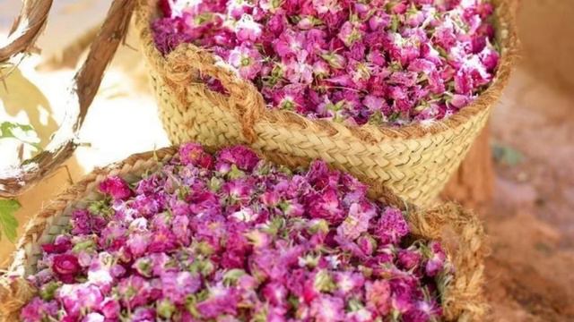 ФИРАУН ЖАСАДИ ҚИЛГАН ЗУЛМЛАРИ#salovatlar #maruzalar #quran #duo #фараон