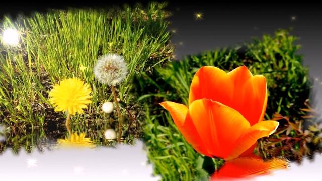 необыкновенно - красивая музыка для души... Вадим Гурьев - Жизнь смотреть онлайн