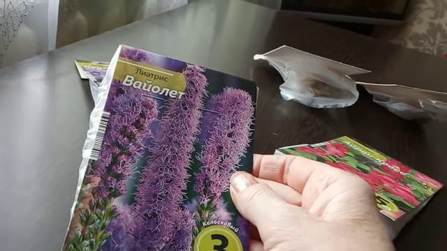 НОВИНКИ для сада! ОБЗОР луковичных! смотреть онлайн