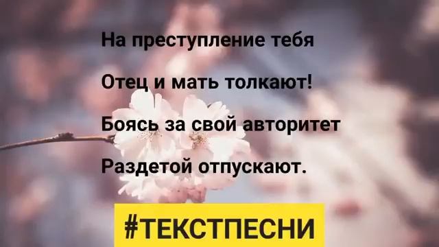 Бабек Мамедрзаев -Мусульманка- смотреть онлайн