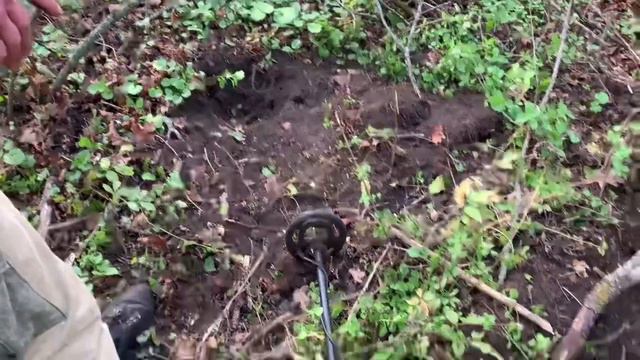 ИНТЕРЕСНЫЕ НАХОДКИ В ЛЕСУ🌳 Экспедиция #2 смотреть онлайн