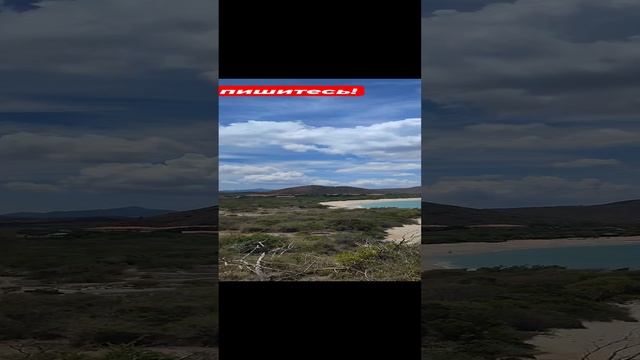 Инспектор Пляж на острове ?️ Маргарита - Венесуэла смотреть онлайн